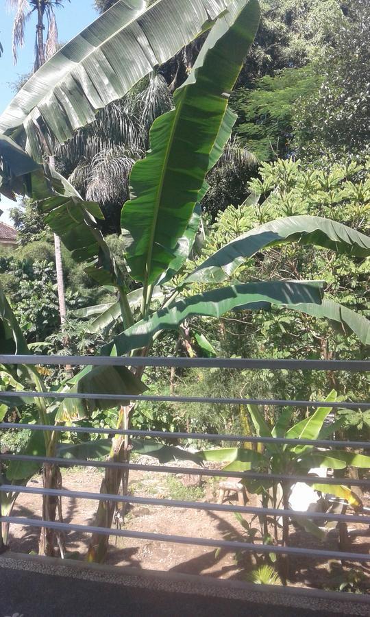 Hotel Madu Sentana House Ubud Zewnętrze zdjęcie